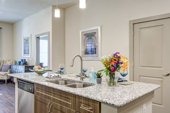 Oaks 55 active apartments in euless, tx  76039 - kitchen